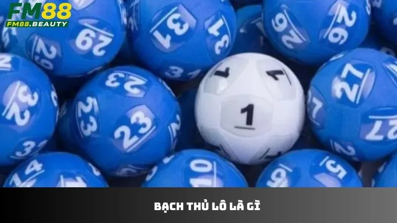 Bạch Thủ Lô Là Gì? Cách Chơi Bạch Thủ Lô Tại FM88 Hiệu Quả 